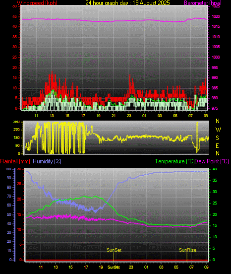 24 Hour Graph for Day 19